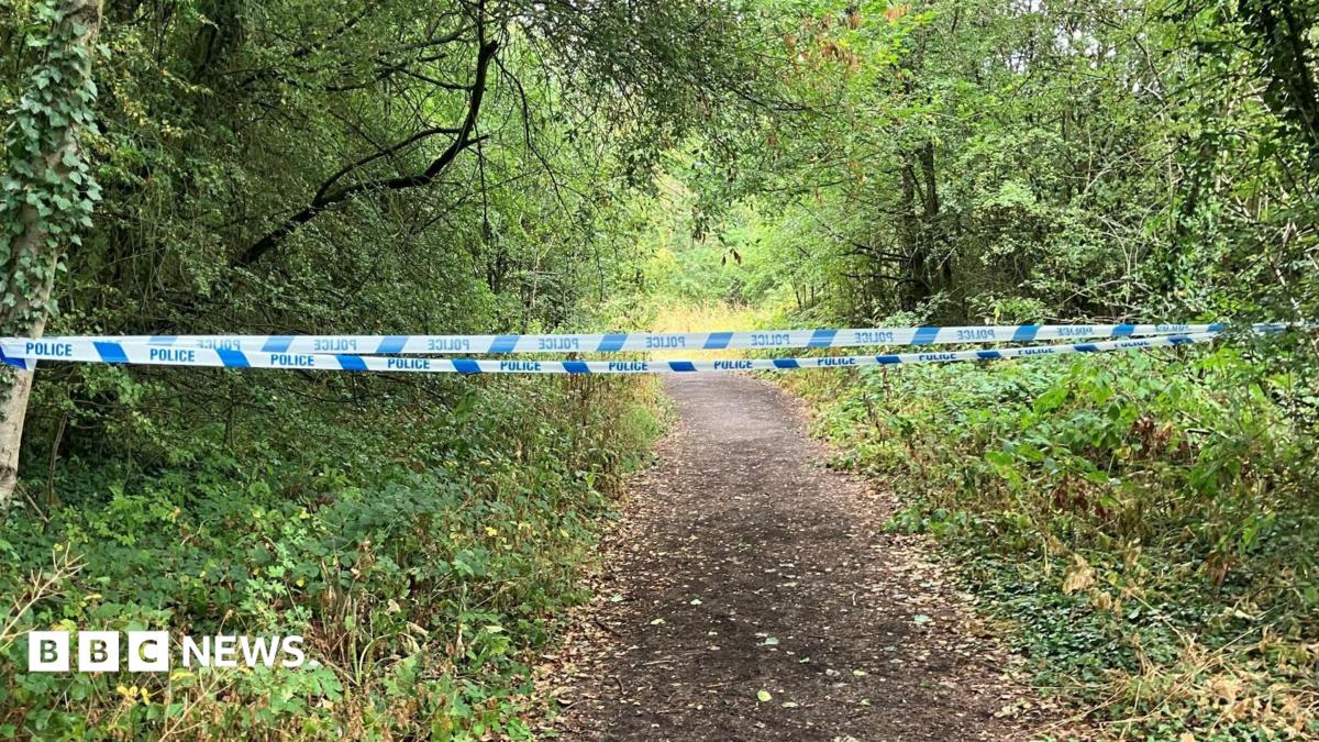 Man charged with manslaughter after man bitten by dog dies