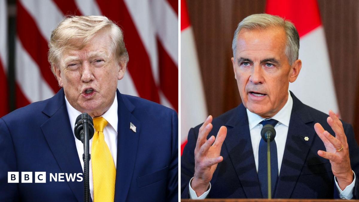 How Canada could hit back to hurt the US economy - and Trump