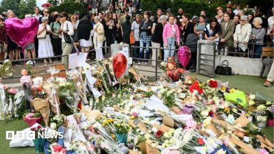 Man to face trial for attempted murder of British child in Alps park attack