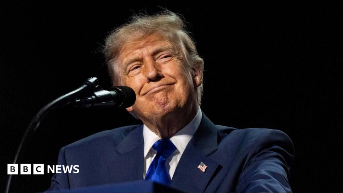 Can Trump really pay $5,000 to every American adult?