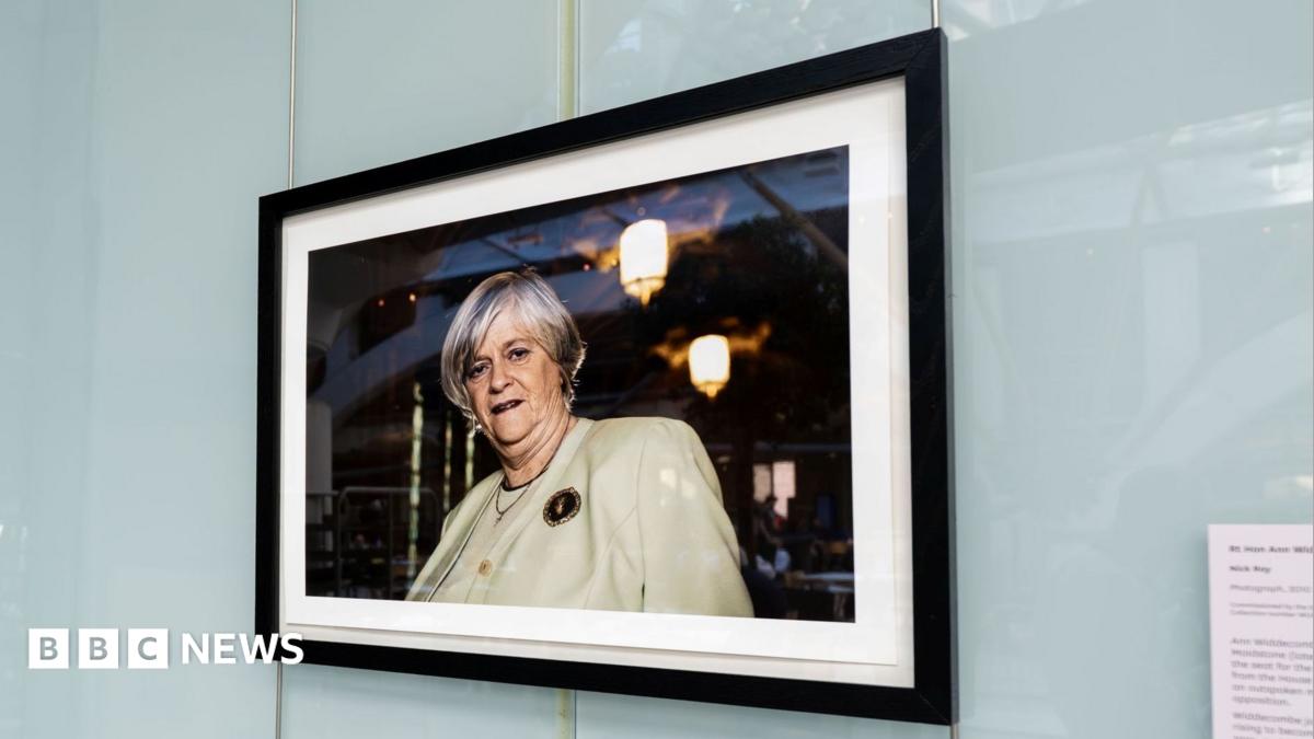 Portrait of Ann Widdecombe put up in Parliament for MPs' return