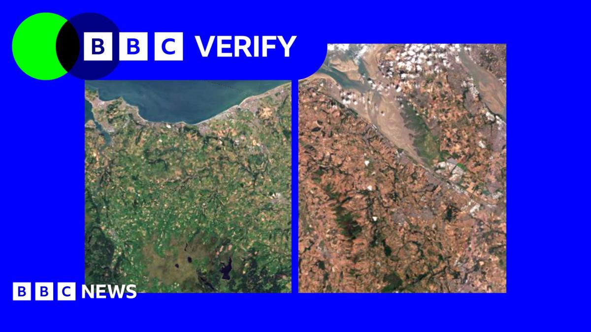 Satellite images show impact of heatwaves and drought on UK landscape