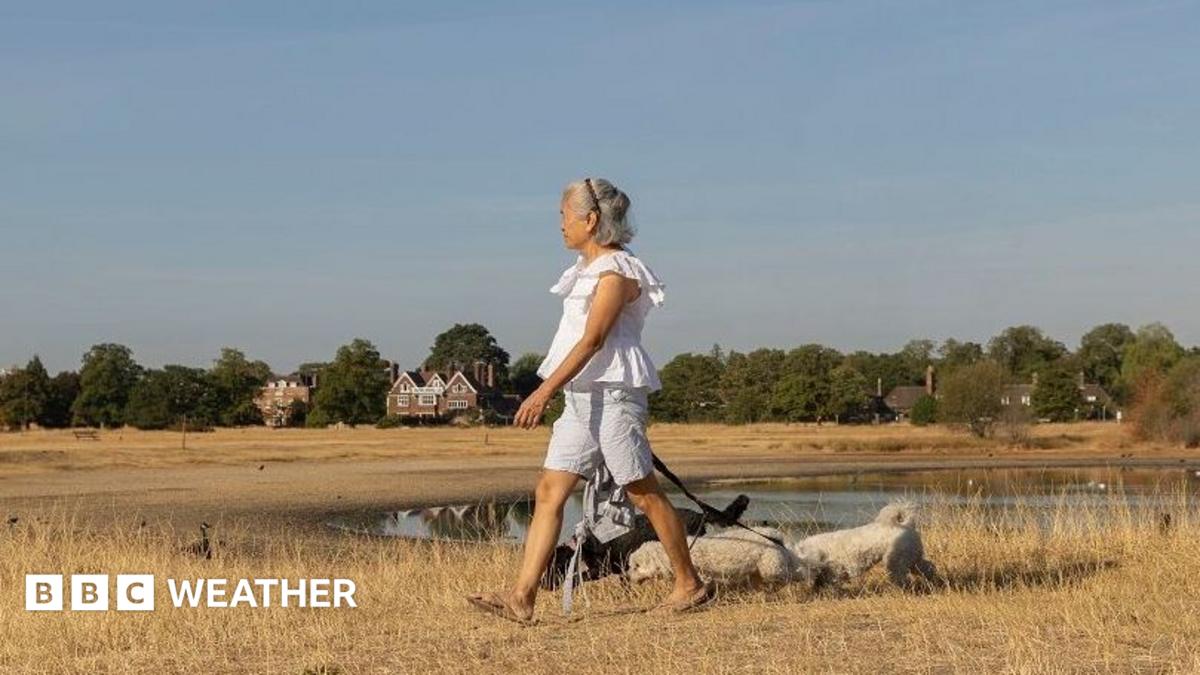 Sunshine returns to parts of UK with warmer and drier weather on way