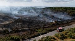 Lives 'will be lost' unless UK does more to combat wildfires, committee chairwoman says