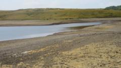 Drought declared across whole of Wales as conditions 'deteriorate'