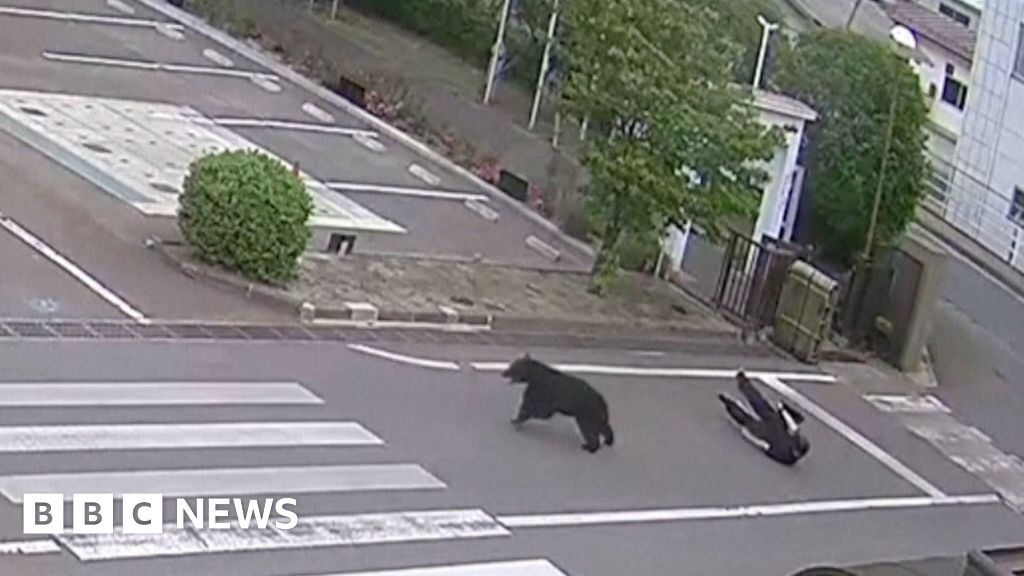 Watch: Man attacked by bear at steel works in Japan