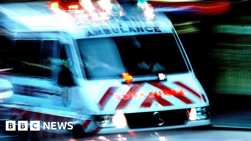 11 skydivers and pilot killed in plane crash