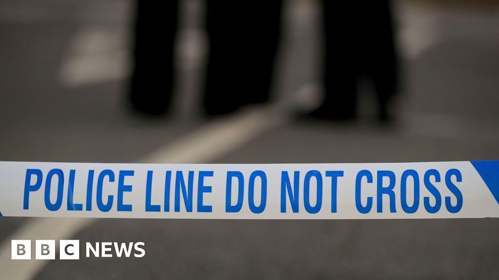Boy, 17, stabbed to death in south London prompting murder investigation