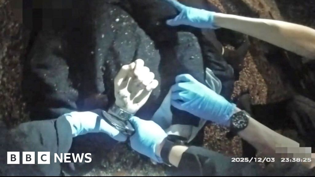 Murdered student Henry Nowak told police 'I can't breathe' while handcuffed