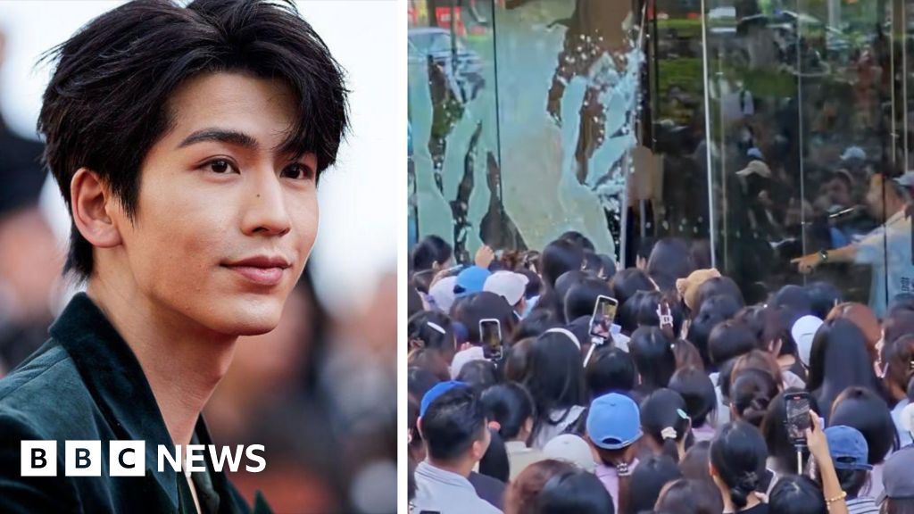 Watch: Fans break glass door trying to see Netflix star