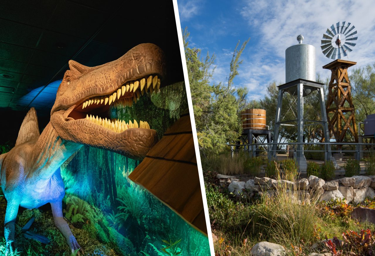 Follow your inner child through dinosaurs and splash pads at Springs Preserve