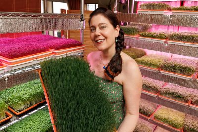 How to supplement your summer with homegrown microgreens