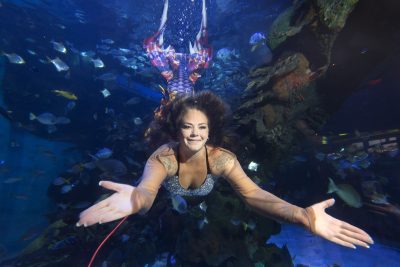 Silverton mermaid Kristin Janise shares her love of diving