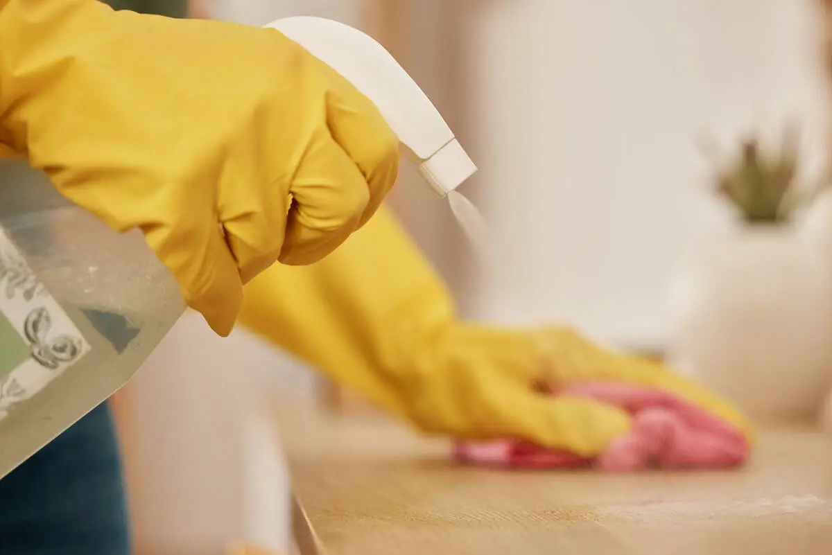 Why some find mental health benefits in everyday tasks