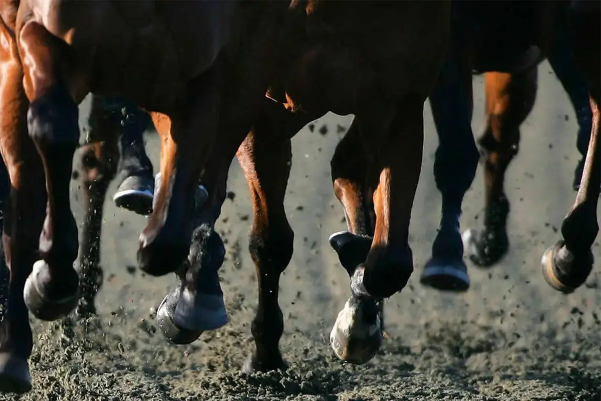 Scandal-ridden horse races in Nevada hit with revised rules