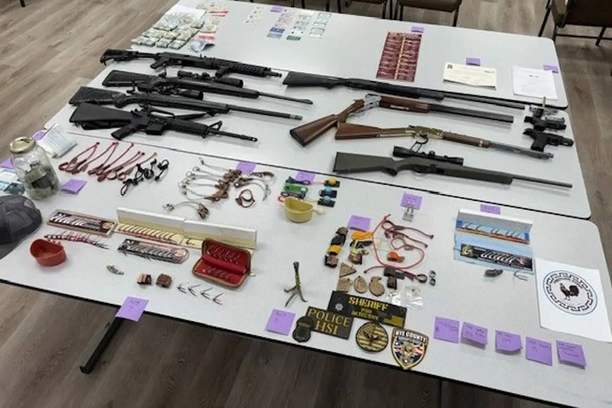 3 arrested, nearly 500 birds seized in Pahrump cockfighting operation