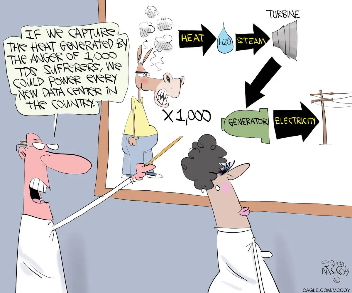 CARTOONS: How to power new data centers