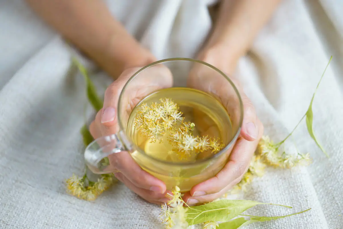 A soothing cup of herbal tea can begin in your garden