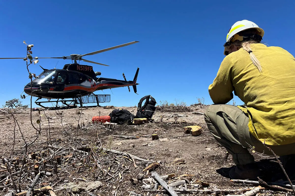 Crews report improved containment in battling Grapevine Fire