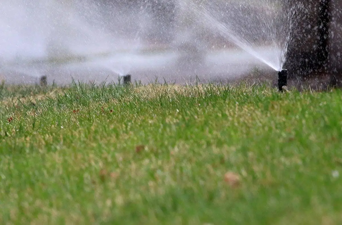 LETTER: Parks and watering restrictions