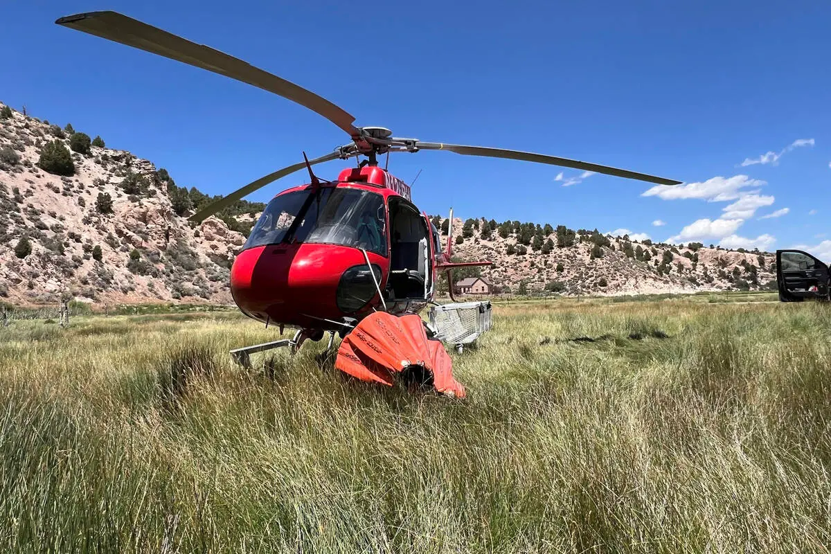 26K-acre Grapevine Fire reaches 78% containment