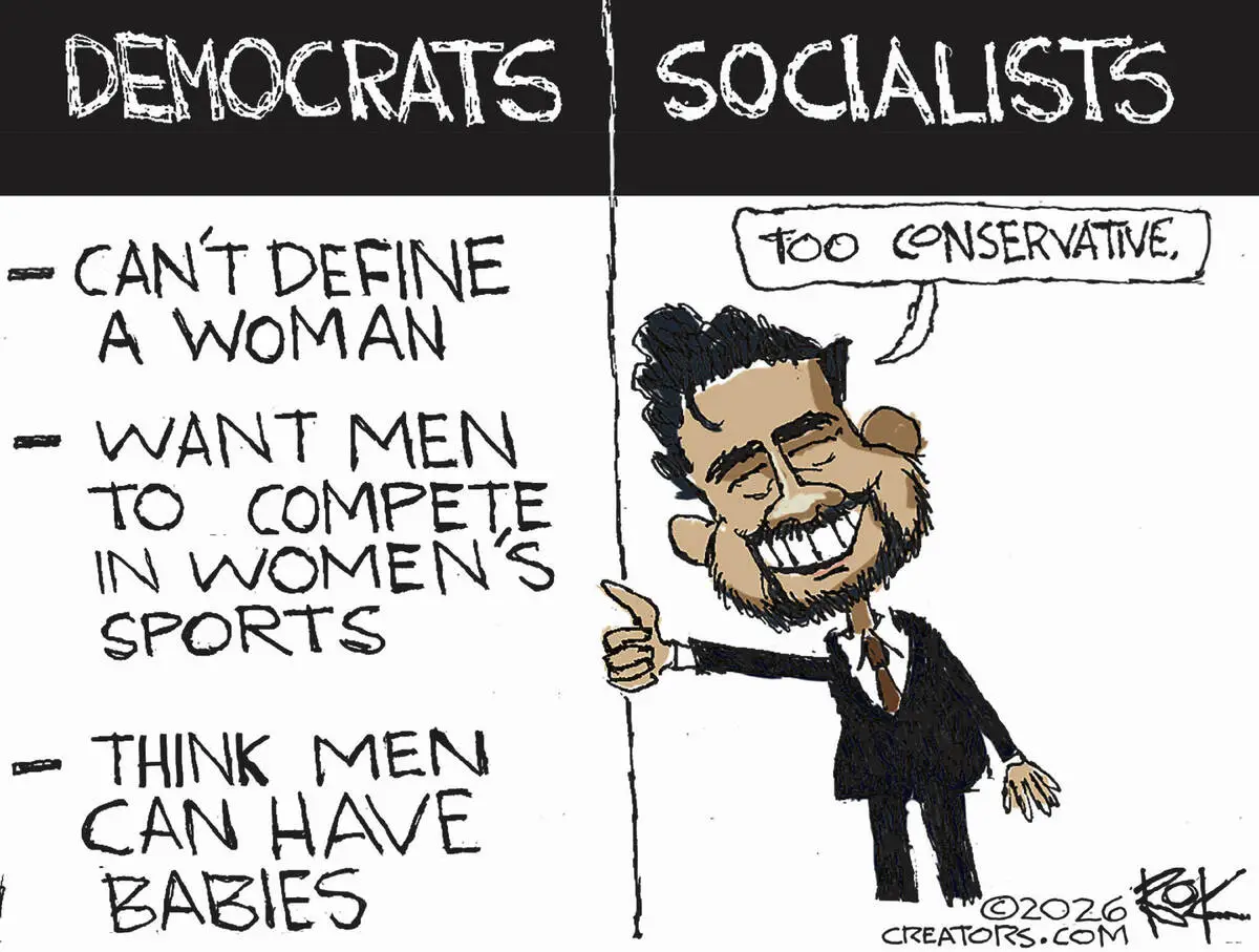 CARTOONS: What the DSA has against the Democrat Party