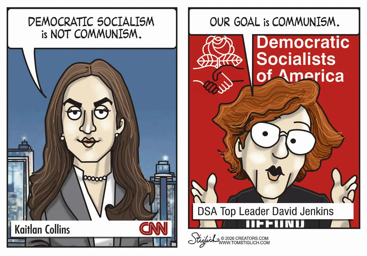 CARTOONS: When the DSA says the quiet part out loud