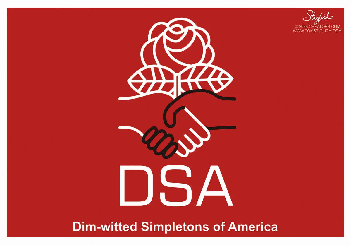 CARTOONS: What DSA actually stands for