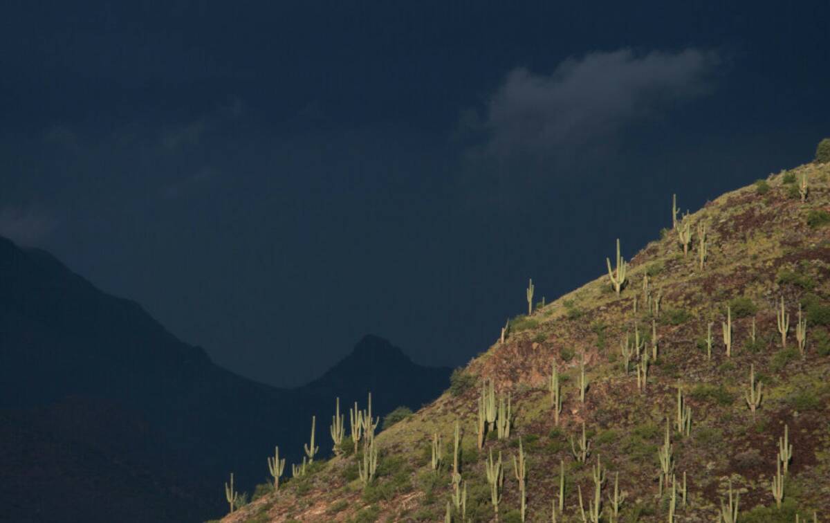 New Mexico, other states drenched by rains from tropical storms