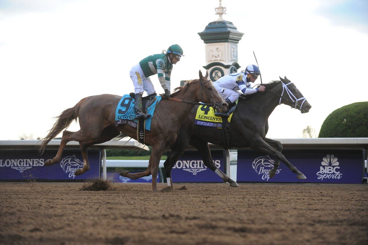 Horse racing betting: Friday’s Breeders’ Cup card features challenges for handicappers