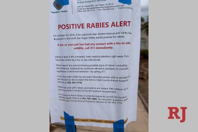 Clark County warns after rabid fox attack in Las Vegas